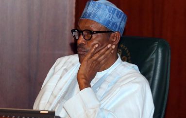 You Are Insensitive, Your Economic Policy Is Archaic And Obsolete – PDP Youths Leader Tells Buhari